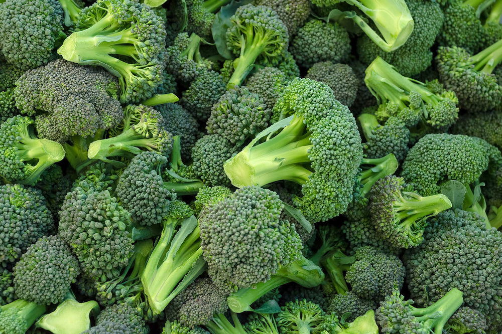 Is Broccoli Genetically Modified