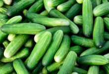 Is Cucumber Good For Arthritis