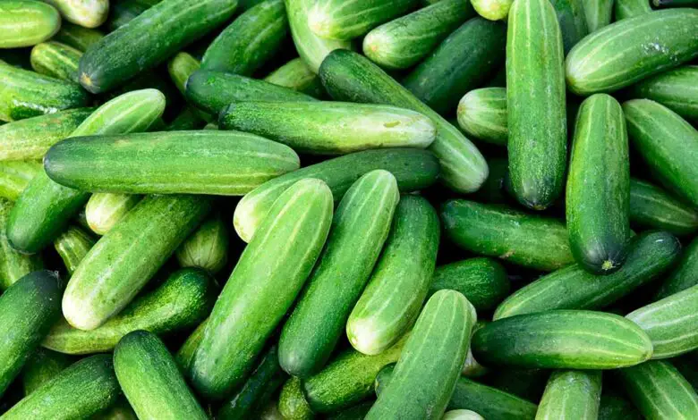Is Cucumber Good For Arthritis