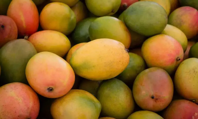 Is Mango Safe For Cats And Dogs?