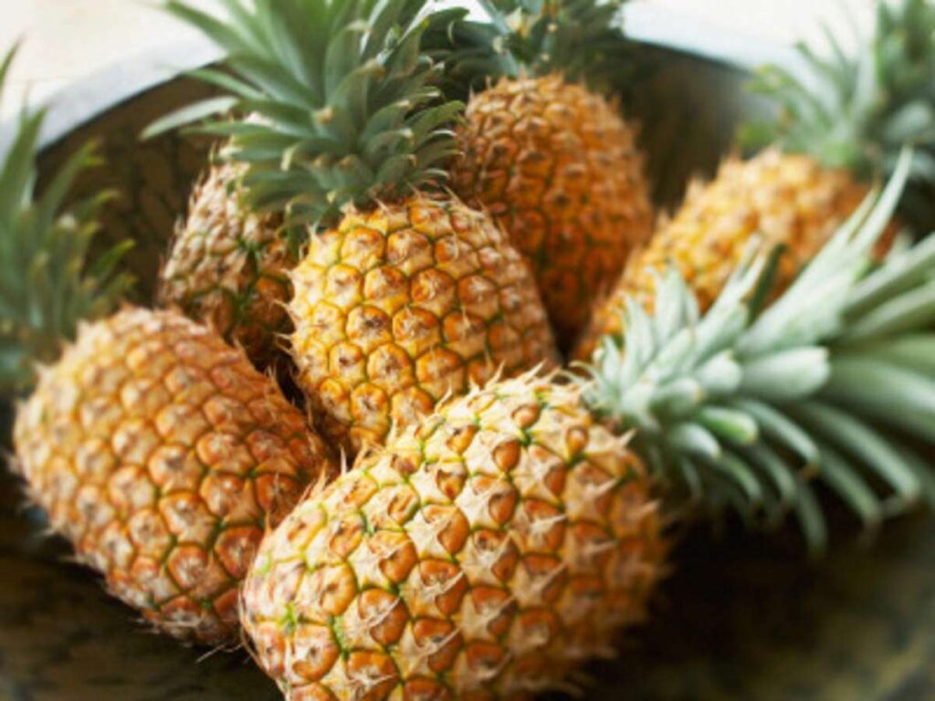 Is Pineapple Good For Kidney Stone Patients