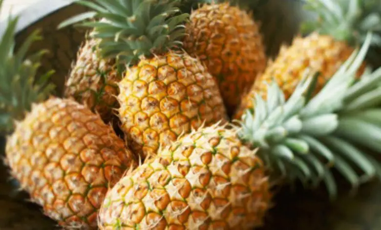 Is Pineapple Good For Kidney Stone Patients