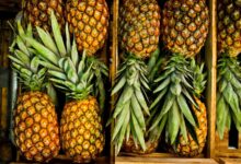 Is Pineapple Good For Your Liver