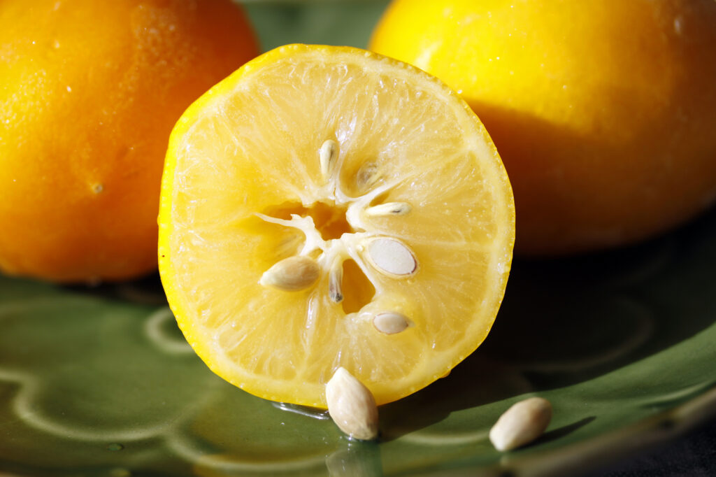 are lemon seeds poisonous to humans