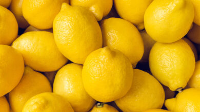 Are Lemons Fruit Or Vegetable