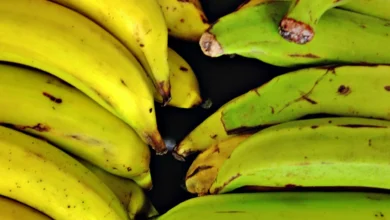 Are Plantains Low FODMAP