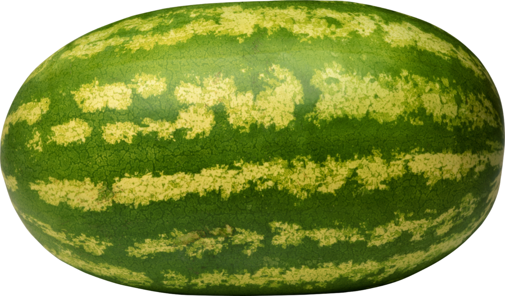 Are There Male and Female Watermelons