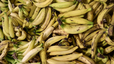 Different Types of Plantains