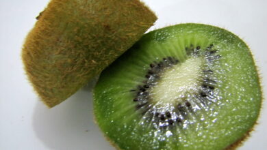 How To Keep Kiwi Fresh? & How To Know When Kiwi Is Bad?