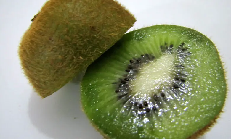 How To Keep Kiwi Fresh? & How To Know When Kiwi Is Bad?