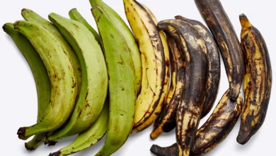 How To Store Plantains Properly