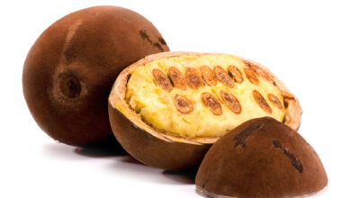 What Is The National Fruit Of Brazil