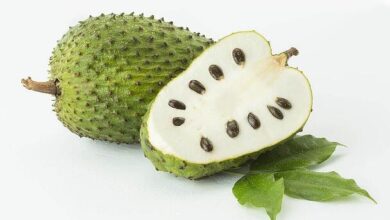 What Is The National Fruit Of Costa Rica