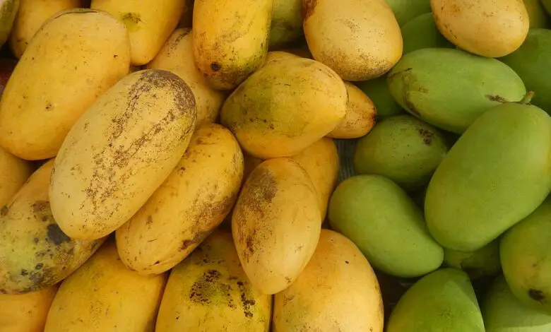 What Is The National Fruit Of Philippines