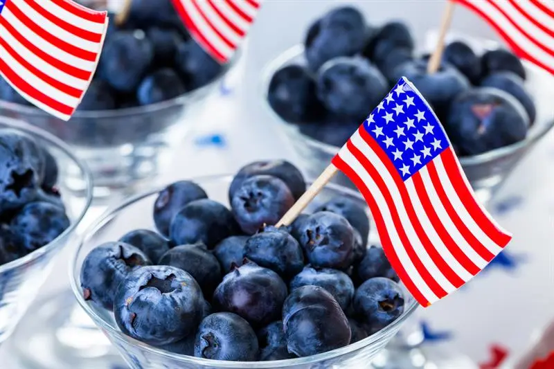 What Is The National Fruit Of USA