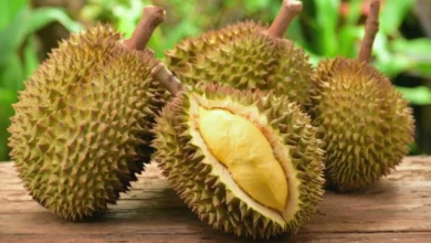 What Is the National Fruit of Singapore