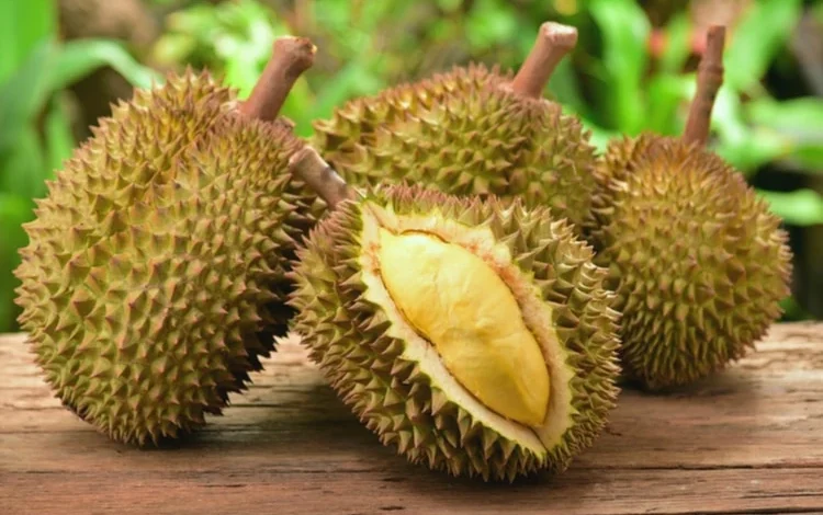 What Is the National Fruit of Singapore