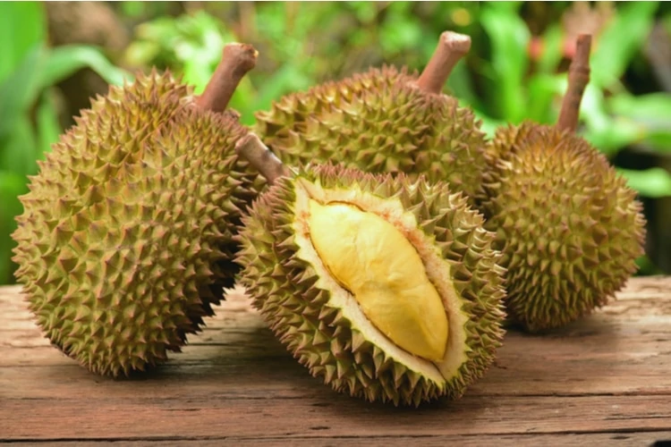 What Is the National Fruit of Singapore