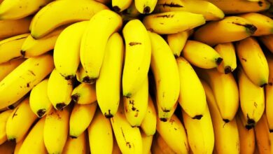 Why Are Bananas So Cheap