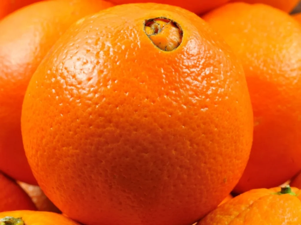 Why Are Navel Oranges Called Navel Oranges