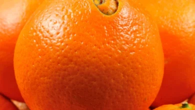Why Are Navel Oranges Called Navel Oranges
