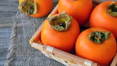 Why Are Persimmons So Expensive