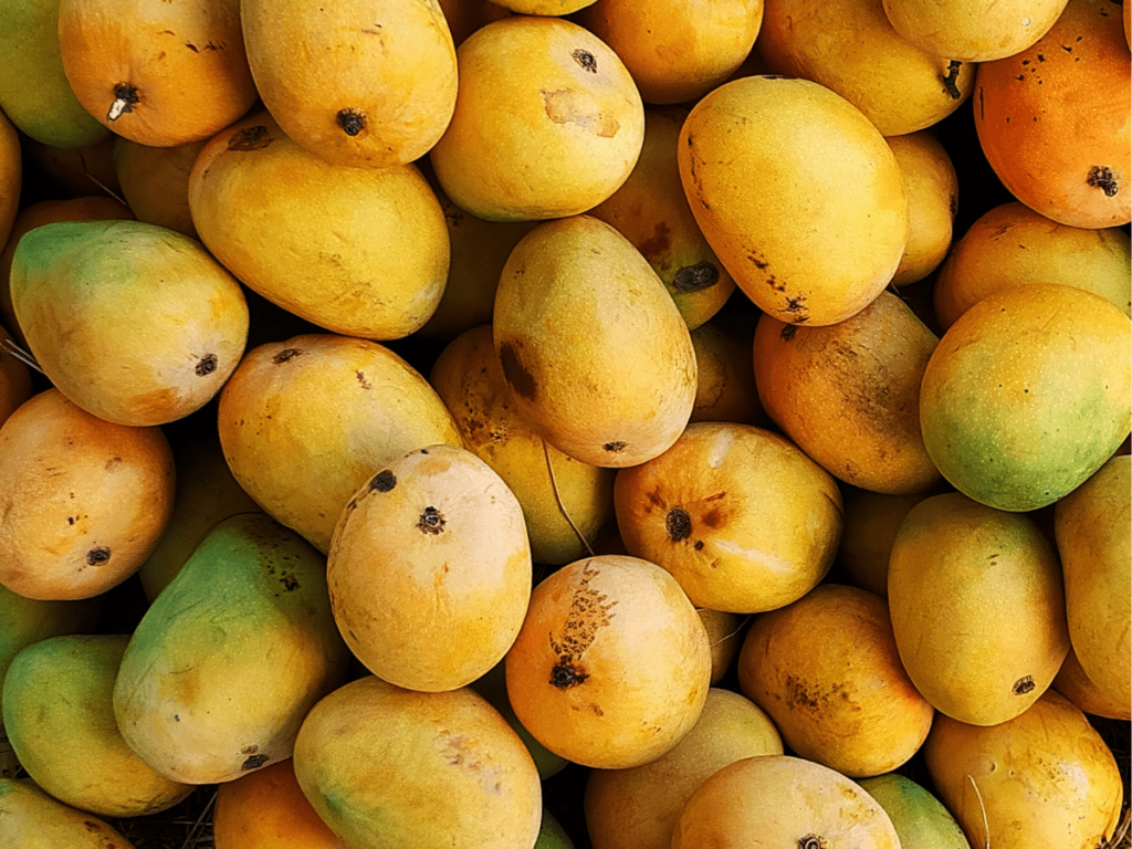 Why Mango Is Called King Of Fruits