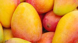 Is Mango A Citrus Fruit, A Stone Fruit, Or A Drupe? [ANSWERED]