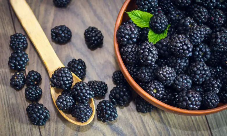 Are Blackberries Acidic Or Alkaline