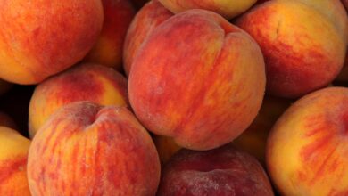 Are Peaches Gluten Free