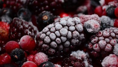 Can Blackberry Plants Survive Frost?