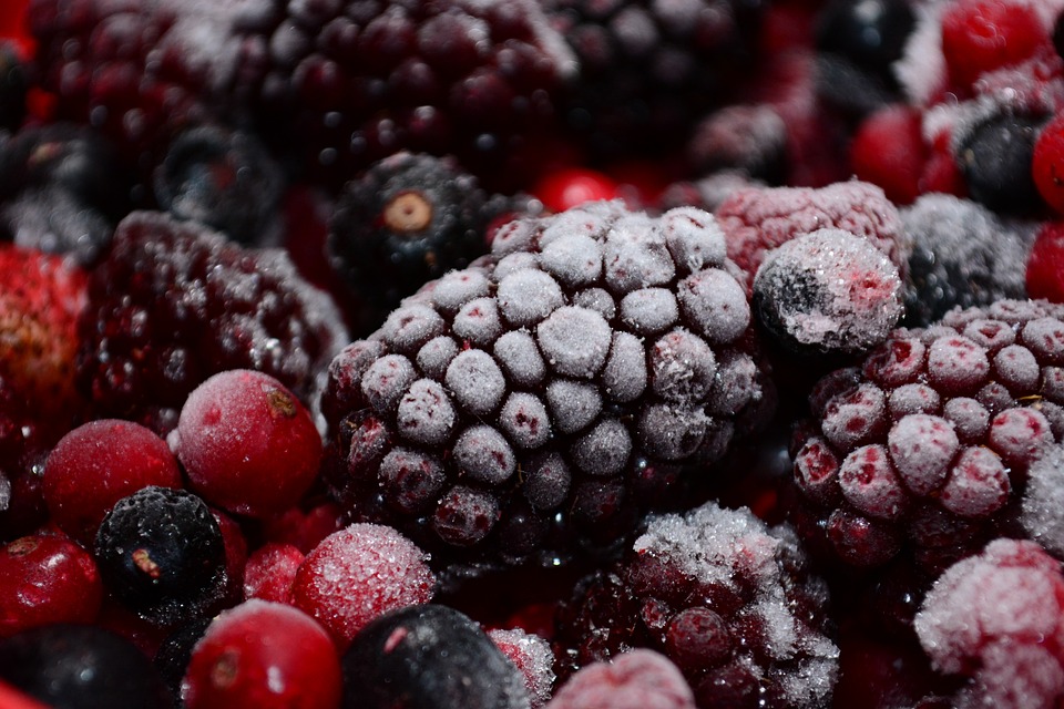 Can Blackberry Plants Survive Frost?