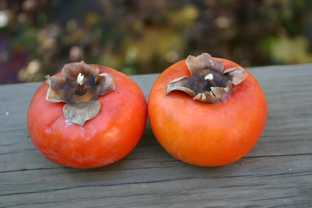 How To Remove Astringency from Persimmon Fruits- 9 Best Ways