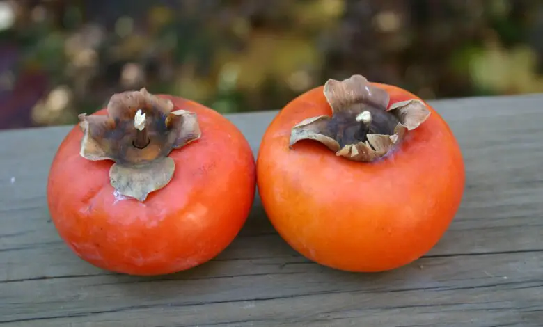 How To Remove Astringency from Persimmon Fruits- 9 Best Ways