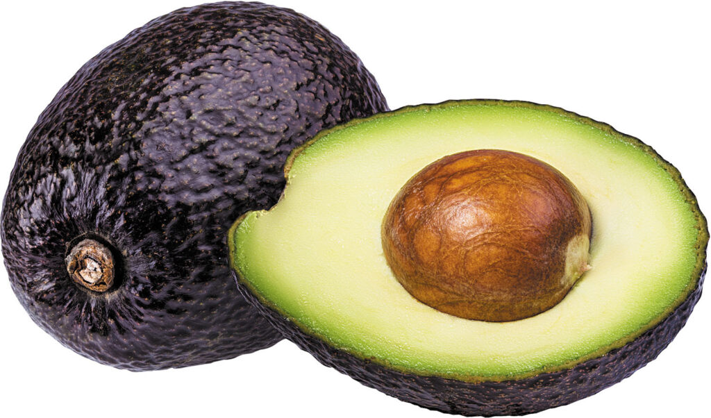 Is Avocado A Tropical Fruit