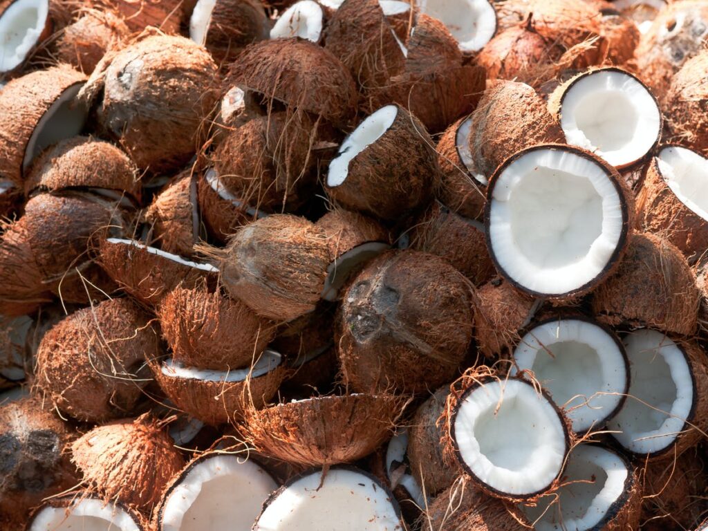 Is Coconut A Tropical Fruit