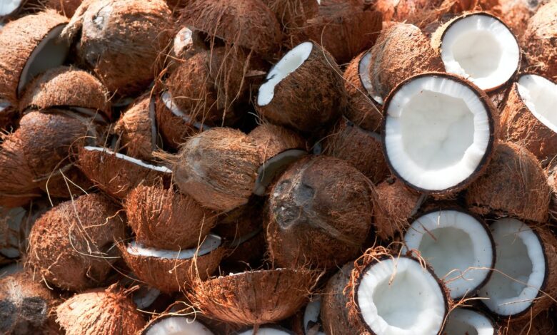 Is Coconut A Tropical Fruit