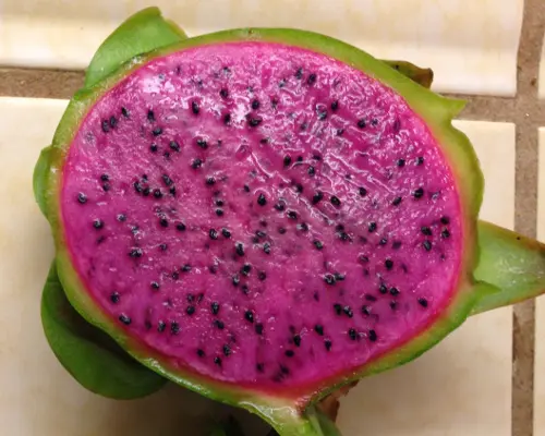 Is Dragon Fruit Good For Babies