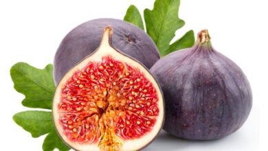 Is Fig A Tropical Fruit