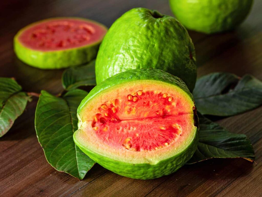 Is Guava A Tropical Fruit