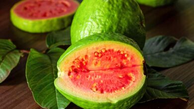 Is Guava A Tropical Fruit
