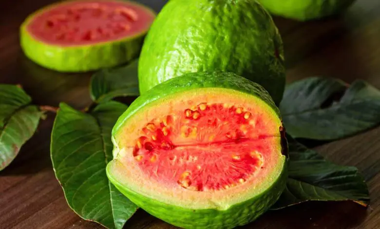 Is Guava A Tropical Fruit