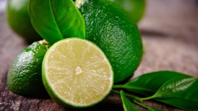 Is Lime A Tropical Fruit