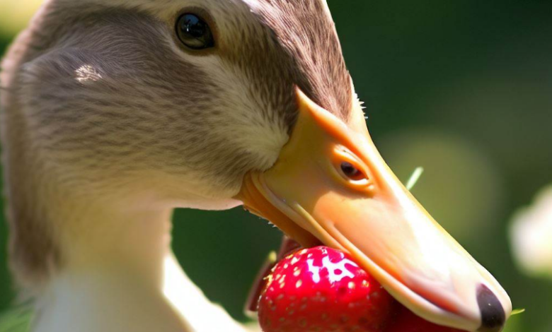 Can Ducks Eat Strawberries?