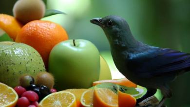 What Fruits Can Birds Eat? [15 Nutritious Fruits]