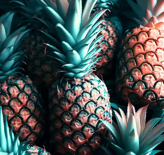 Is Pineapple A Tropical Fruit? All You Need To Know