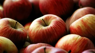 Is Apple A Tropical Fruit? All You Need To Know