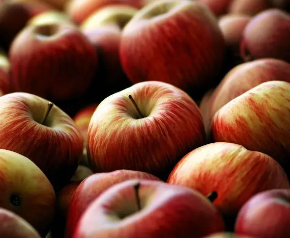 Is Apple A Tropical Fruit? All You Need To Know