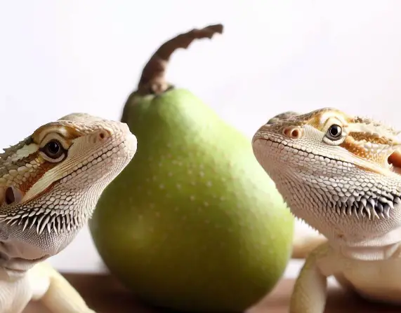 Can Bearded Dragons Eat Pears? Are They A Safe Choice?