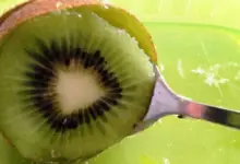 Is Kiwi Fruit Good for Diabetics?
